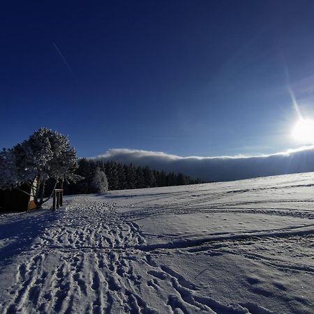 Berghaus Am Felsbruch Oberwiesenthal Ot Hammerunterwiesenthal מראה חיצוני תמונה