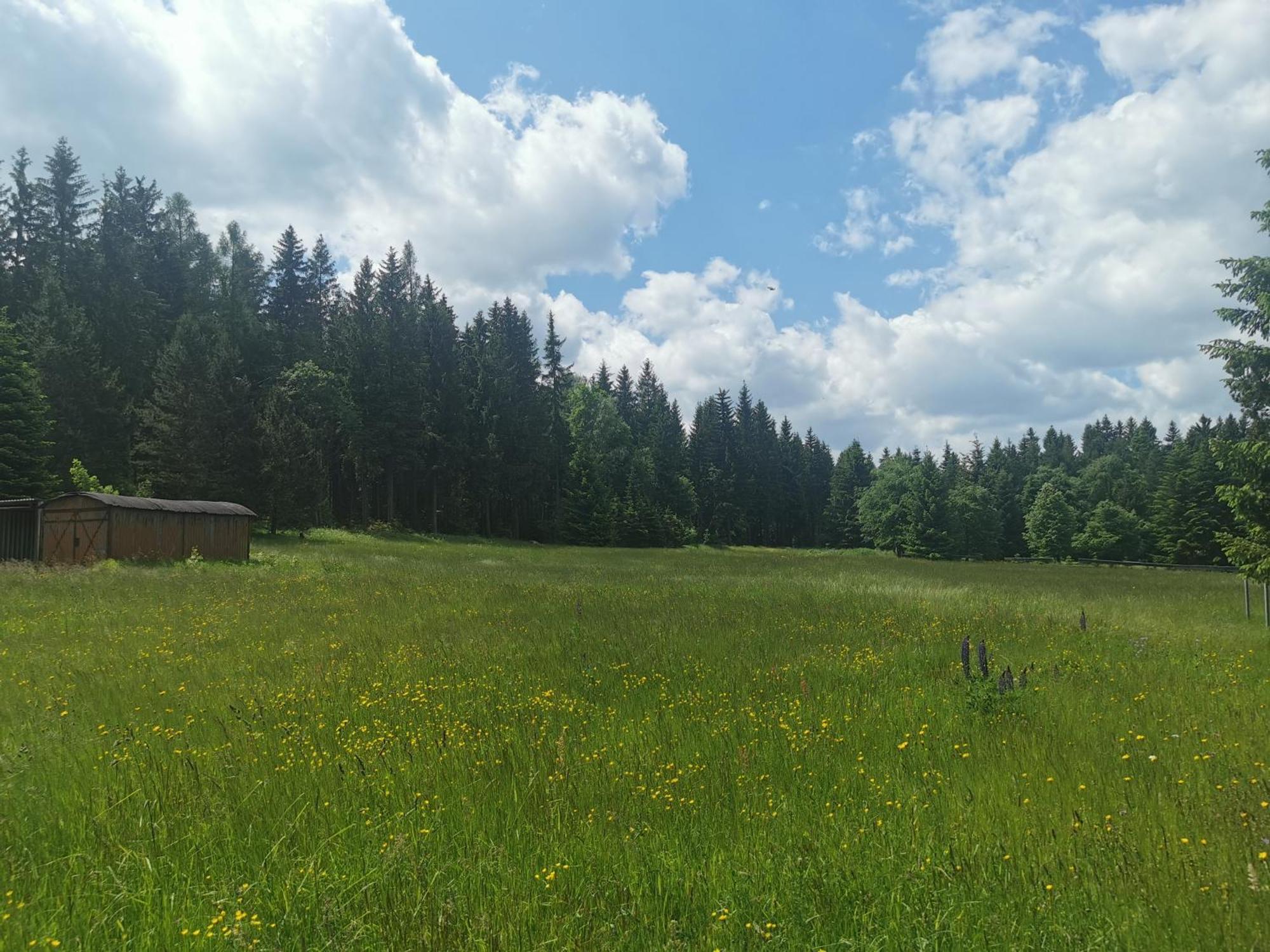 Berghaus Am Felsbruch Oberwiesenthal Ot Hammerunterwiesenthal מראה חיצוני תמונה